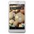 Все для Lenovo IdeaPhone S880